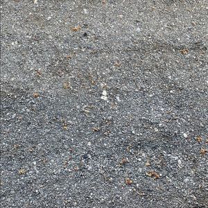 Meet your Posher, Lance